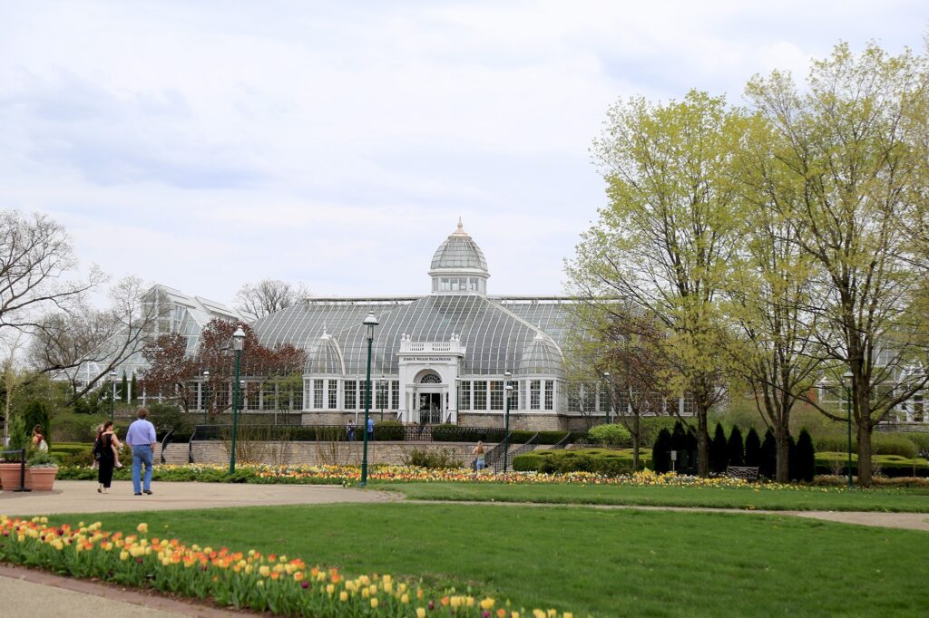7 Rare Southern Ohio Botanicals You Can’t Ignore southern ohio botanicals